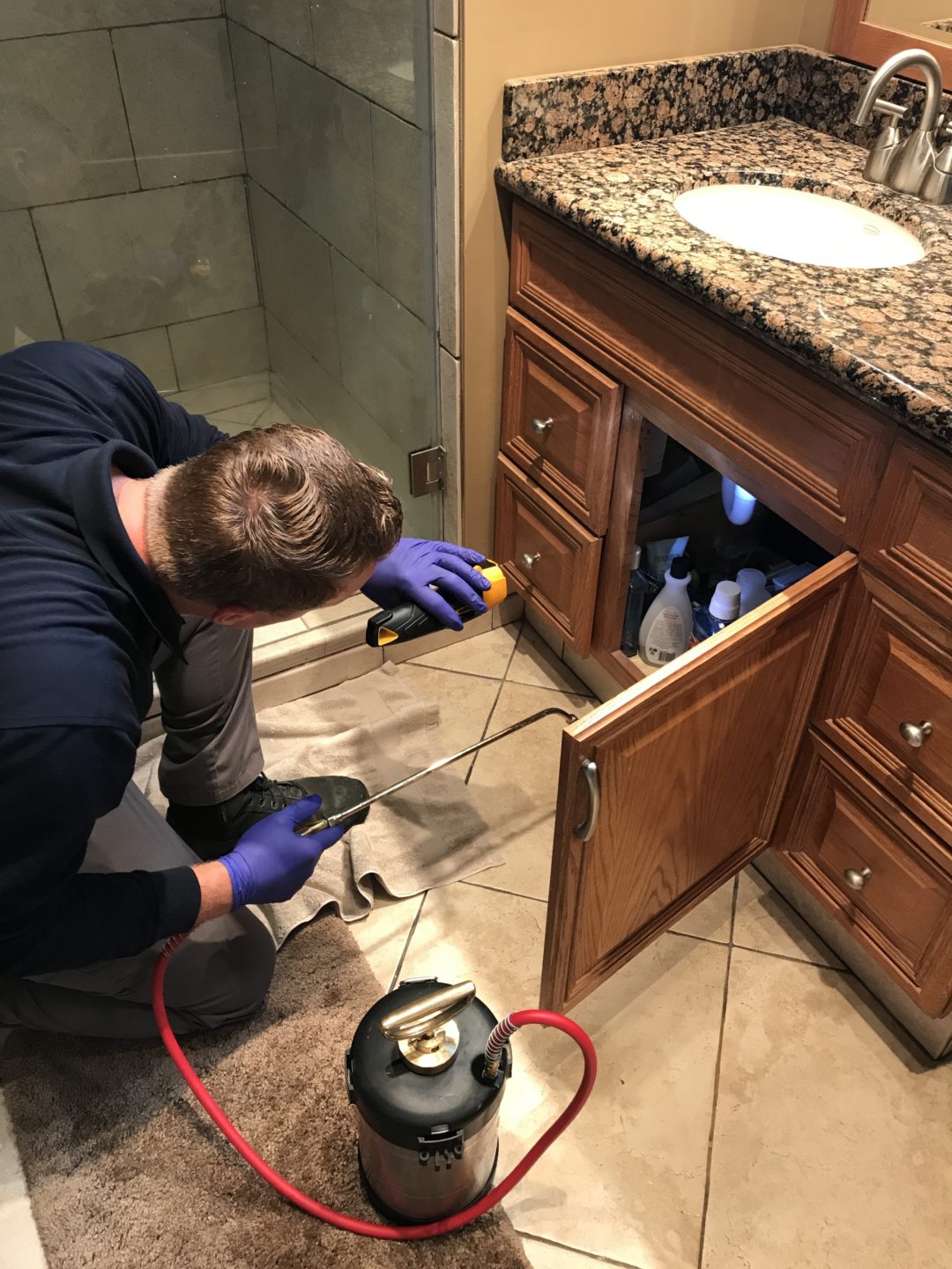 Top Rated Pest Control in South Florida On Demand Pest Control