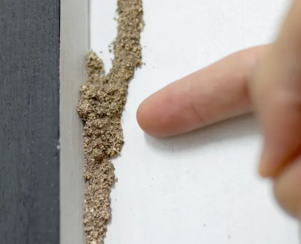 Discovering Termite Mud Tubes Signs of Severe Infestation