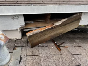 Severely rotted fascia board and exposed wooden structural elements beneath roof overhang creating pest entry points.