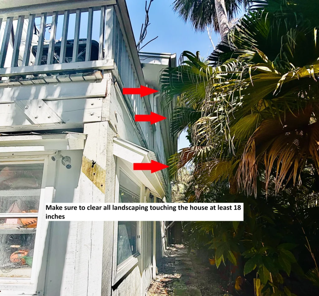 Exterior home wall with visible wood damage and overgrown landscaping touching the siding, highlighted with red arrows showing areas needing clearance.