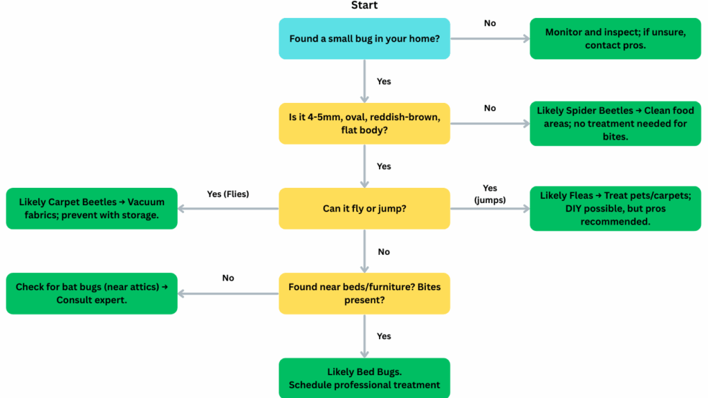 Small Bug Identification Decision Tree Flowchart