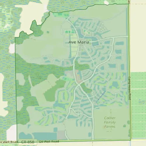 Detailed street map of Ave Maria residential community showing neighborhoods and road layout in Florida