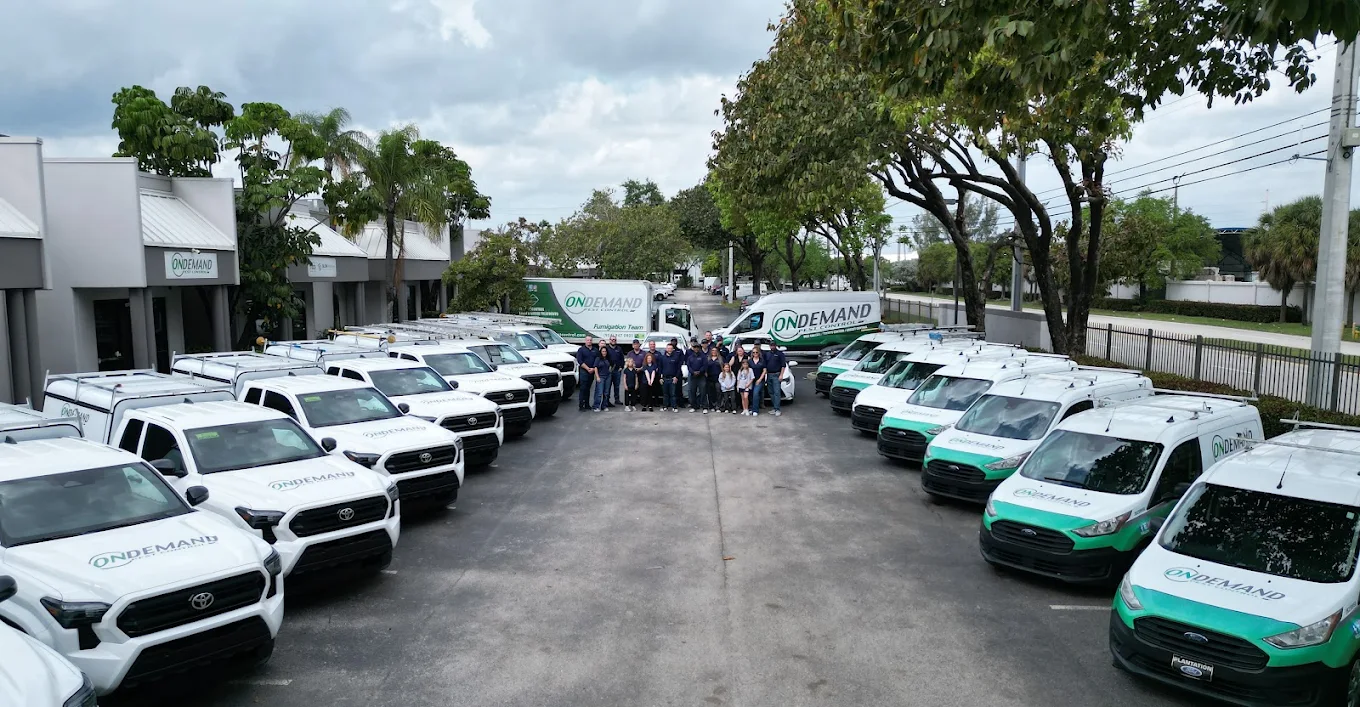 On Demand Team Fleet Photo