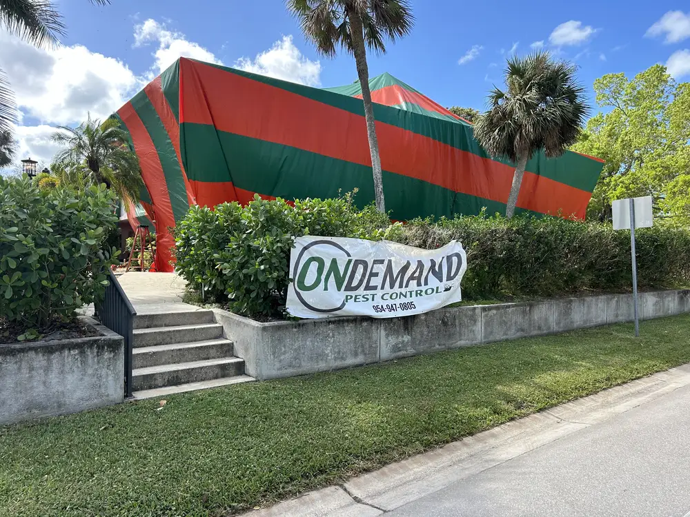 On Demand Pest Control tent fumigation in progress on a South Florida building