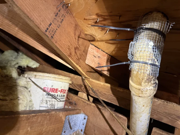 Damaged pipe with protective wire mesh repair in attic space showing rodent exclusion work