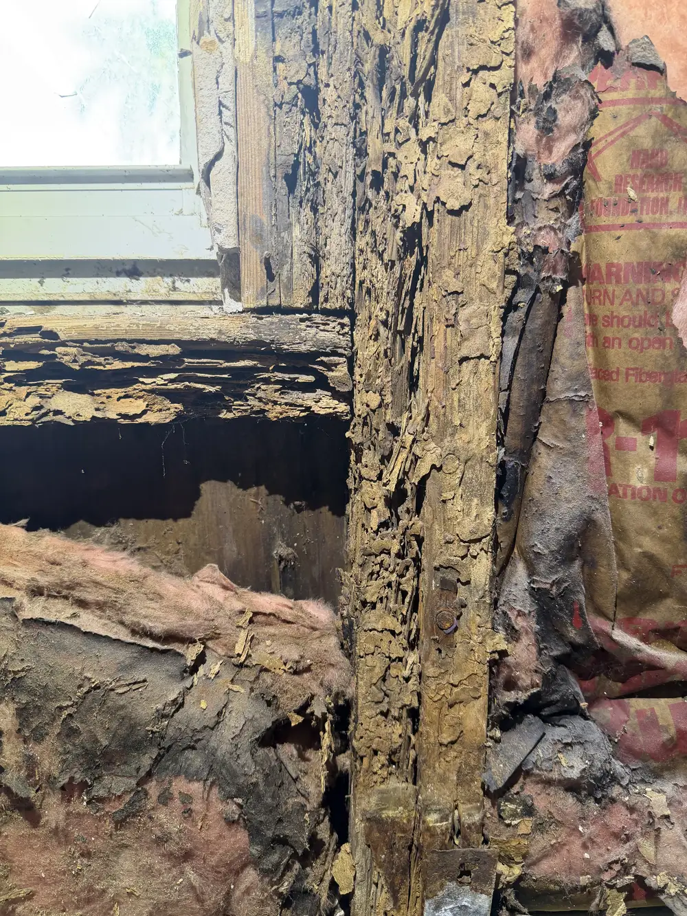 Severe subterranean termite damage to wall framing and studs found in Naples FL