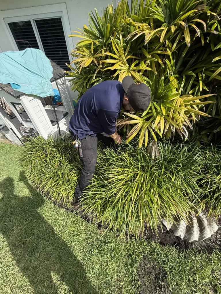 Pest control worker in navy shirt and cap examining dense green shrubs and palm foliage near a home