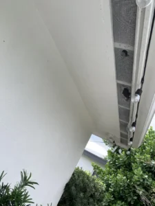 Damaged patio screen soffit with chewed holes allowing rodent or pest entry near string lights