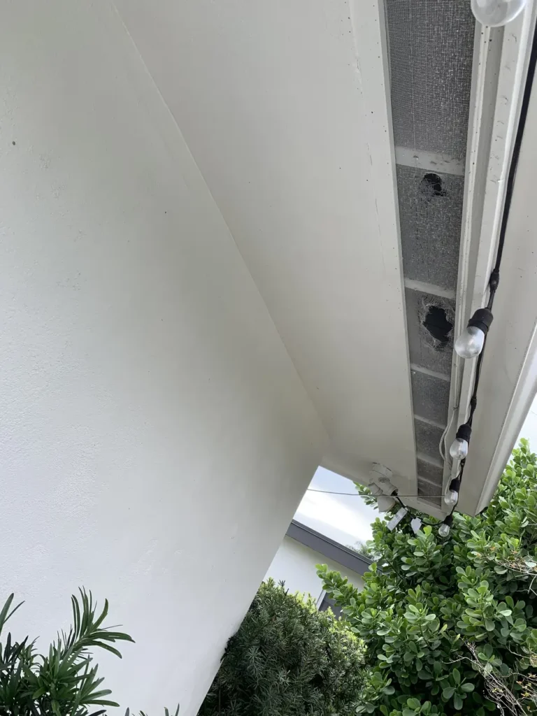 Damaged patio screen soffit with chewed holes allowing rodent or pest entry near string lights