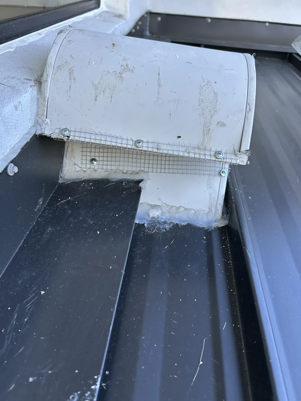 Roof exhaust vent cap sealed with wire mesh screen and screws to block rodent entry