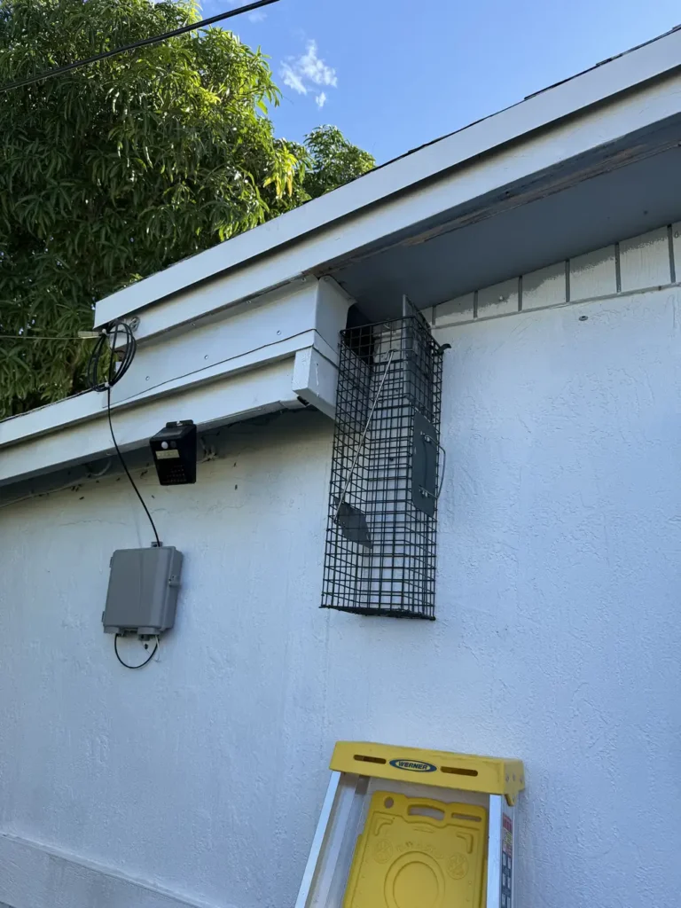 Wire mesh rodent trap mounted high on a stucco wall near roofline with ladder below